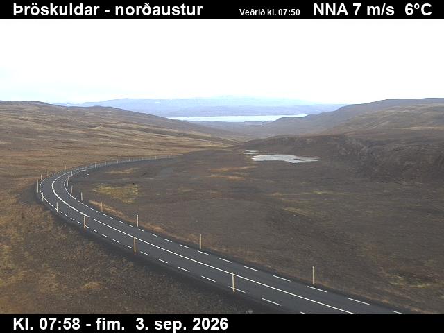 throskuldar_1-1788429758.jpg