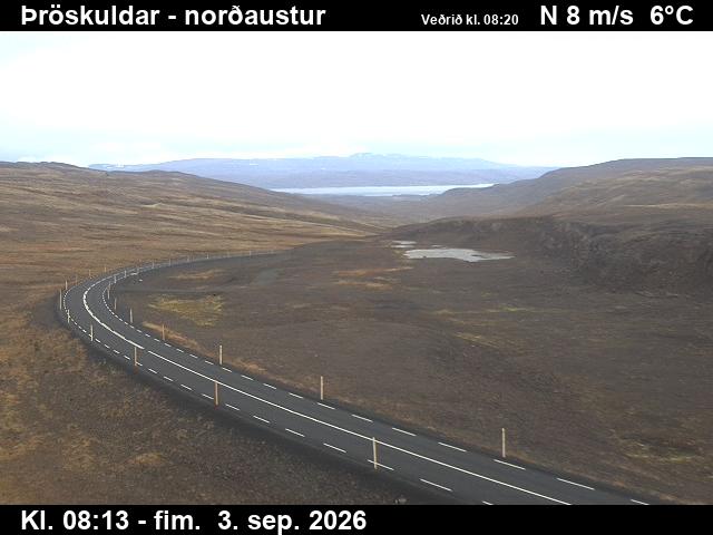 throskuldar_1-1788431185.jpg