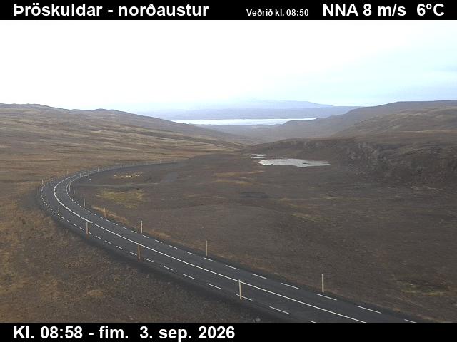 throskuldar_1-1788433379.jpg