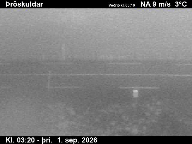 throskuldar_2-1788240349.jpg