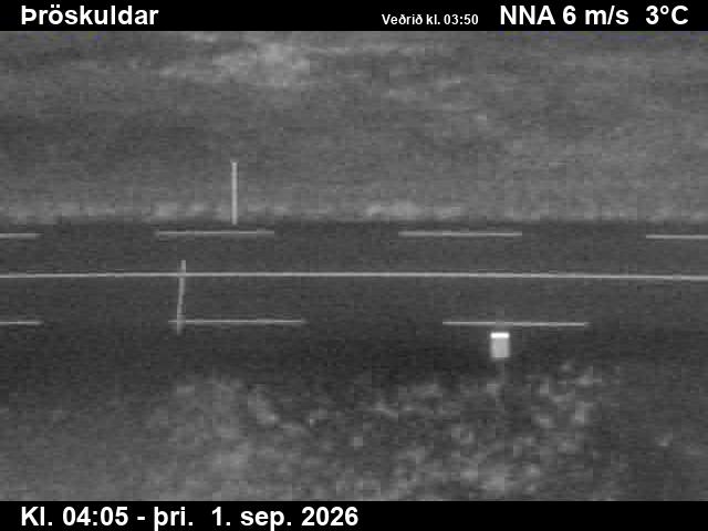 throskuldar_2-1788242746.jpg