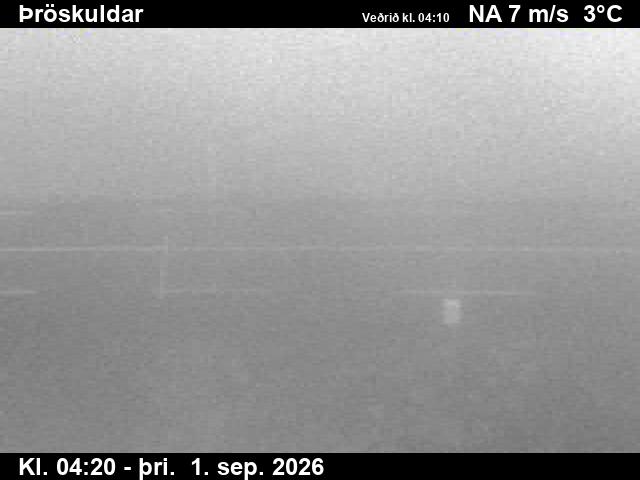 throskuldar_2-1788243964.jpg