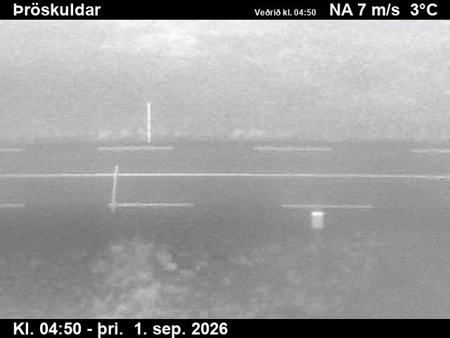 throskuldar_2-1788246143.jpg