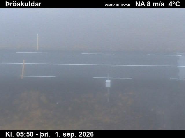 throskuldar_2-1788249737.jpg