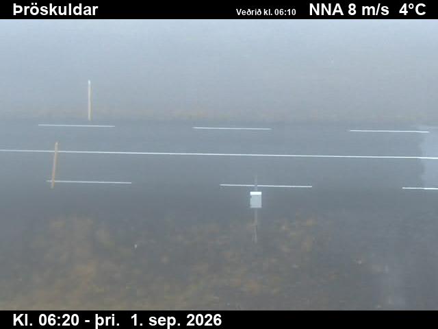 throskuldar_2-1788251150.jpg