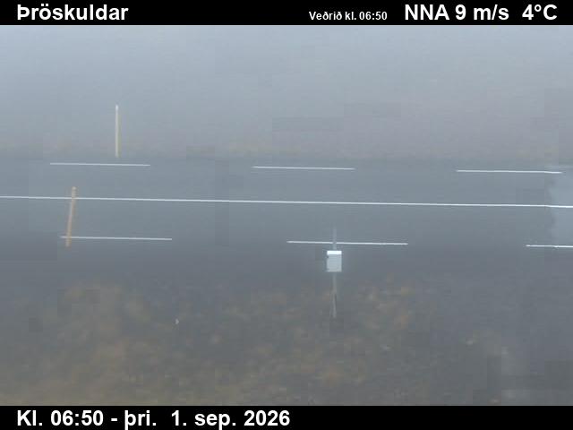 throskuldar_2-1788253307.jpg
