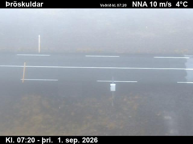 throskuldar_2-1788254798.jpg