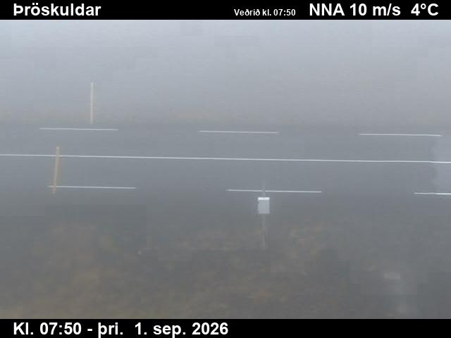 throskuldar_2-1788256863.jpg