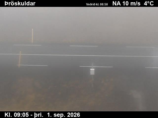 throskuldar_2-1788260782.jpg