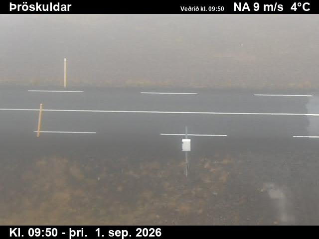 throskuldar_2-1788264083.jpg