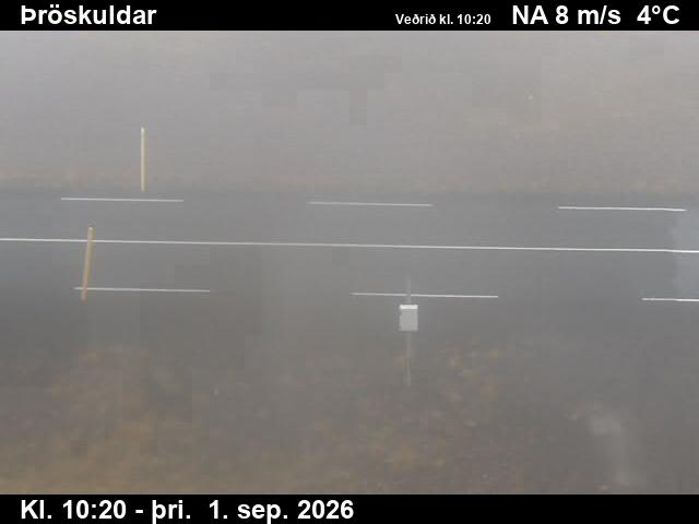 throskuldar_2-1788265588.jpg
