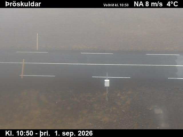 throskuldar_2-1788267794.jpg