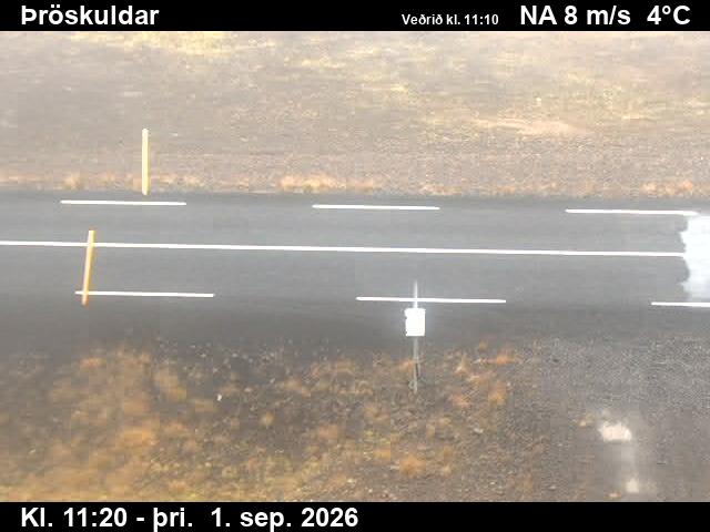 throskuldar_2-1788269155.jpg