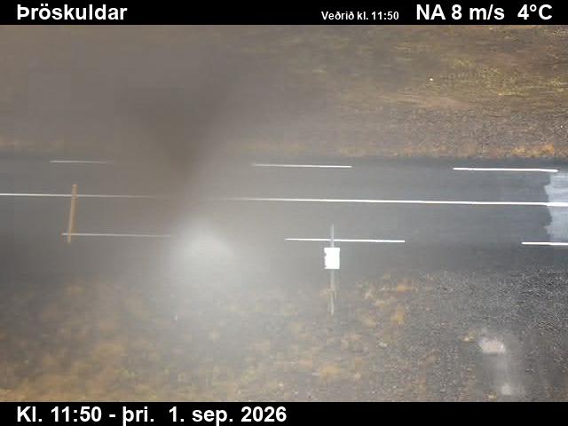 throskuldar_2-1788271258.jpg