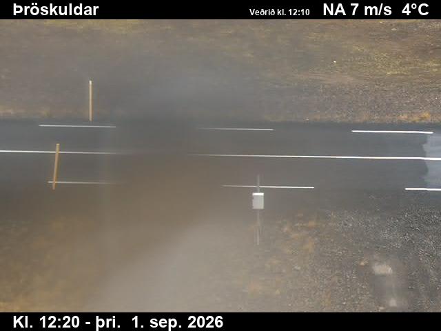 throskuldar_2-1788272780.jpg