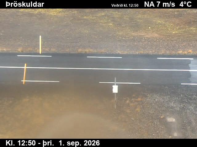 throskuldar_2-1788274854.jpg