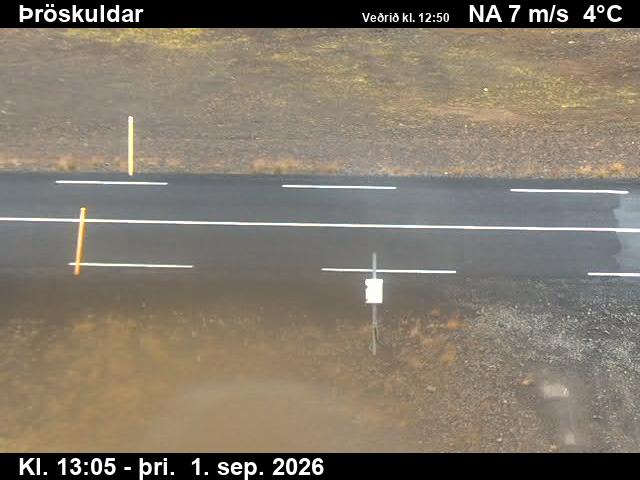 throskuldar_2-1788275178.jpg