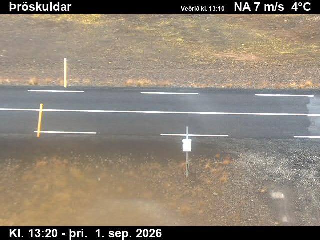 throskuldar_2-1788276379.jpg