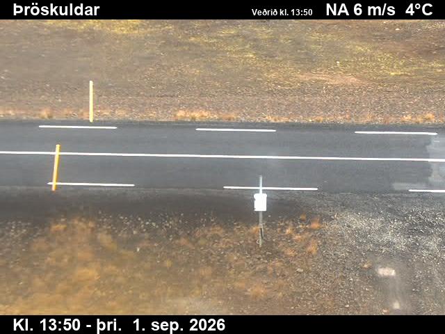 throskuldar_2-1788278512.jpg