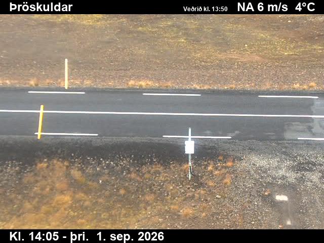 throskuldar_2-1788278774.jpg