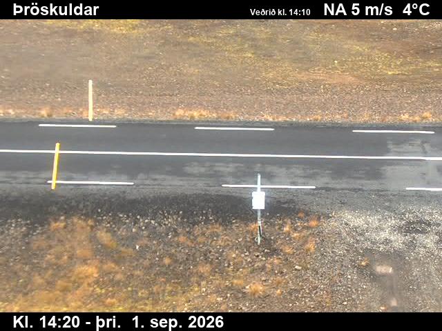 throskuldar_2-1788279963.jpg