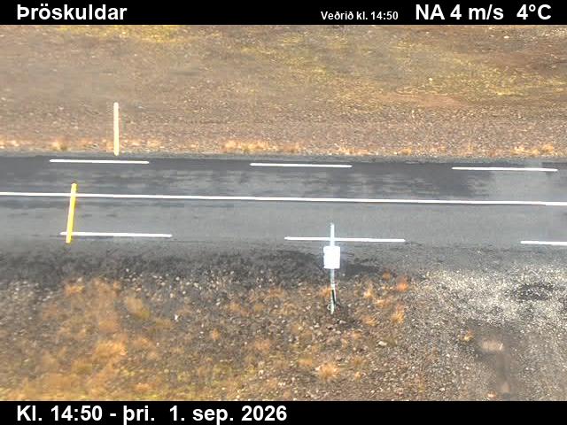 throskuldar_2-1788282123.jpg