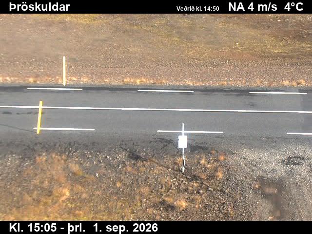 throskuldar_2-1788282370.jpg