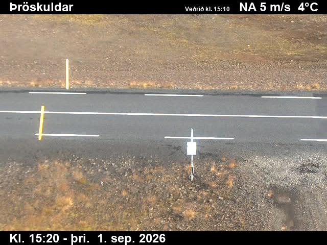 throskuldar_2-1788283579.jpg