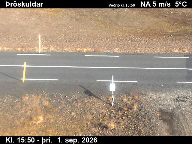 throskuldar_2-1788285684.jpg