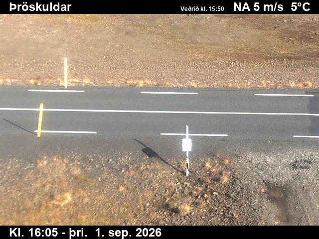 throskuldar_2-1788285986.jpg