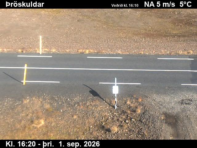 throskuldar_2-1788287148.jpg