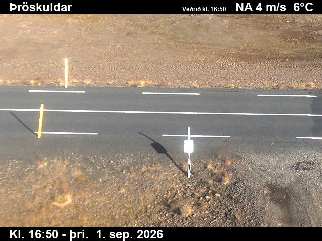 throskuldar_2-1788289329.jpg