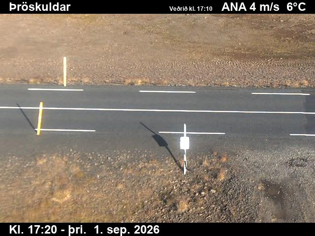 throskuldar_2-1788290763.jpg