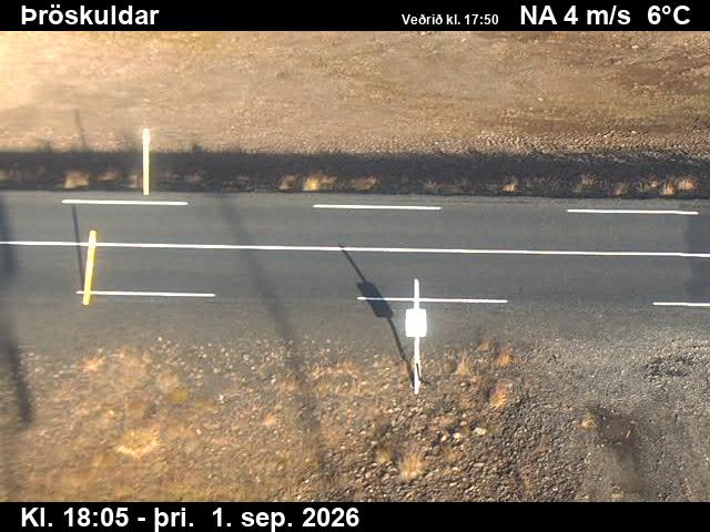 throskuldar_2-1788293208.jpg