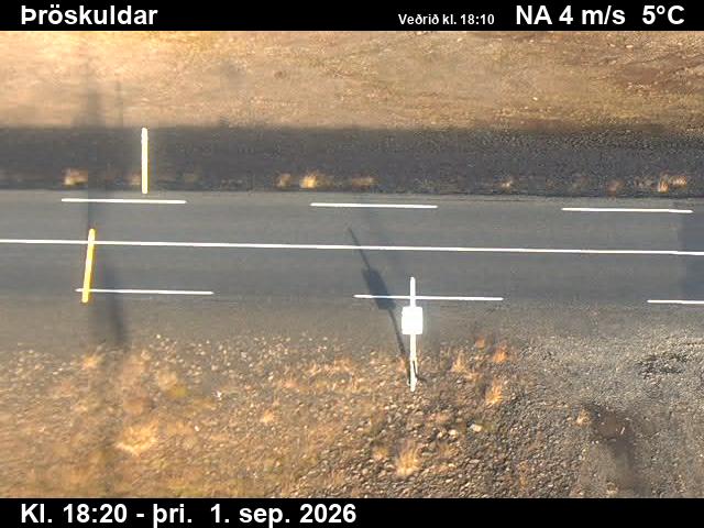 throskuldar_2-1788294342.jpg