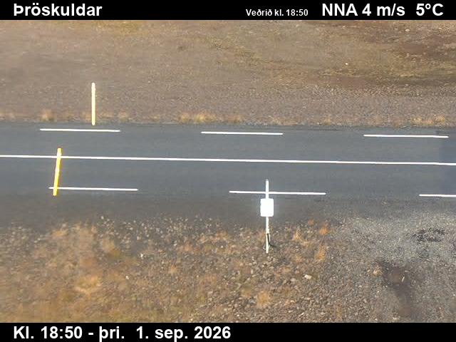 throskuldar_2-1788296495.jpg