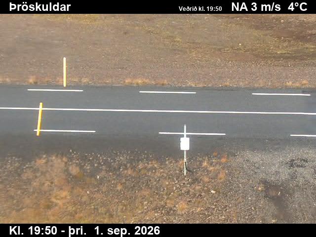 throskuldar_2-1788300081.jpg