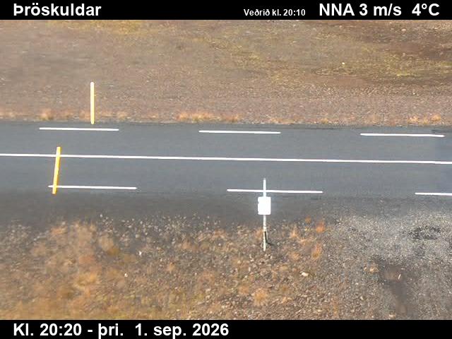 throskuldar_2-1788301566.jpg