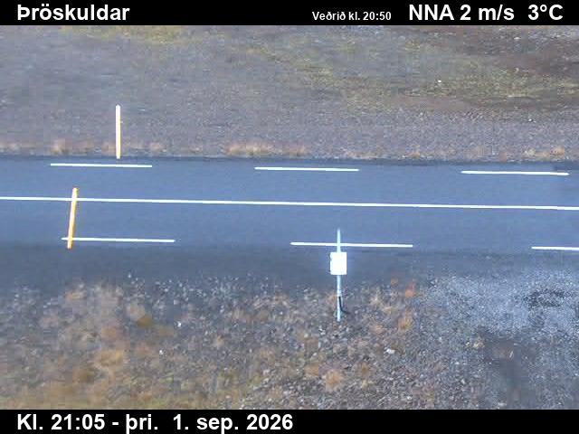 throskuldar_2-1788303968.jpg