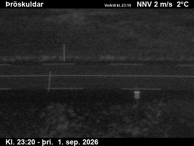 throskuldar_2-1788312332.jpg