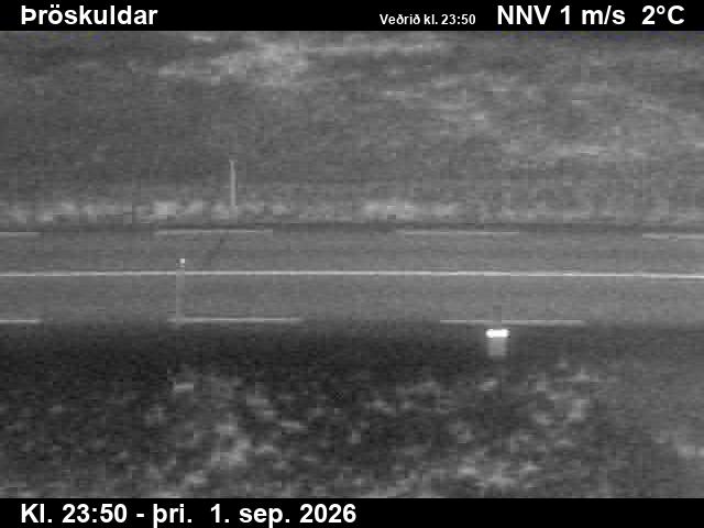 throskuldar_2-1788314507.jpg