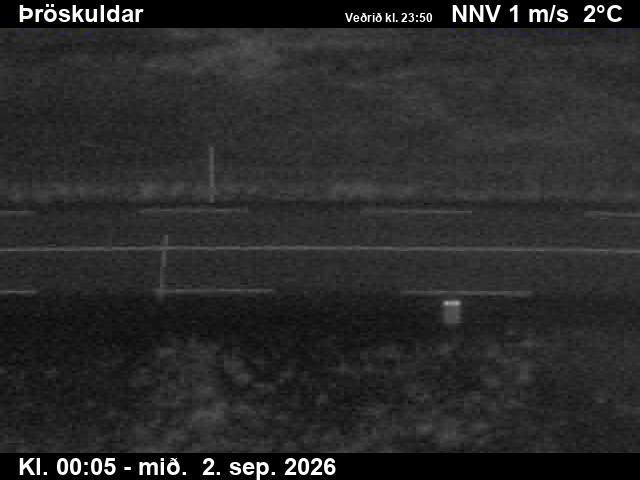 throskuldar_2-1788314812.jpg