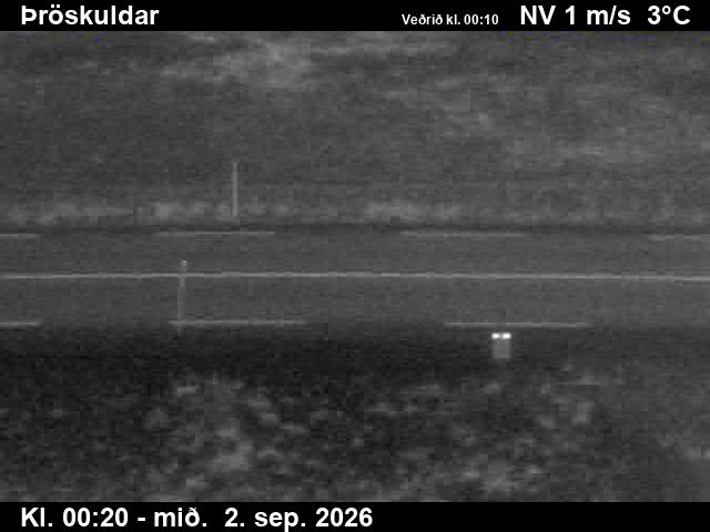 throskuldar_2-1788315972.jpg