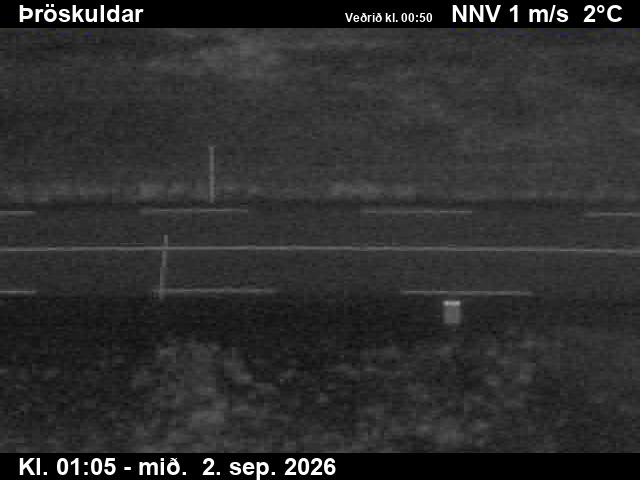 throskuldar_2-1788318382.jpg