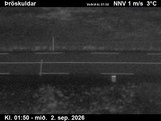 throskuldar_2-1788321753.jpg