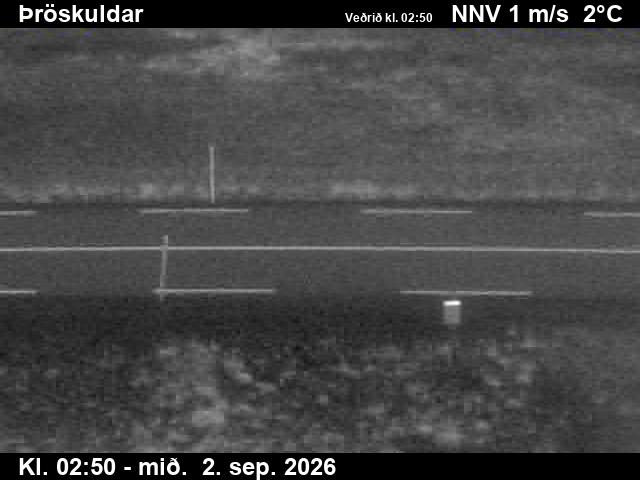 throskuldar_2-1788325336.jpg