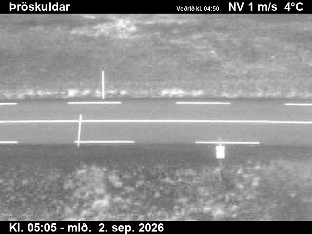throskuldar_2-1788332791.jpg