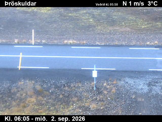 throskuldar_2-1788336353.jpg