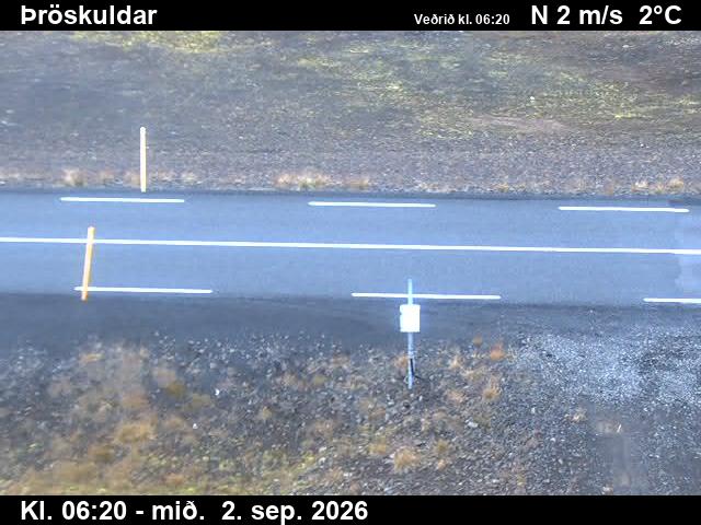 throskuldar_2-1788337681.jpg