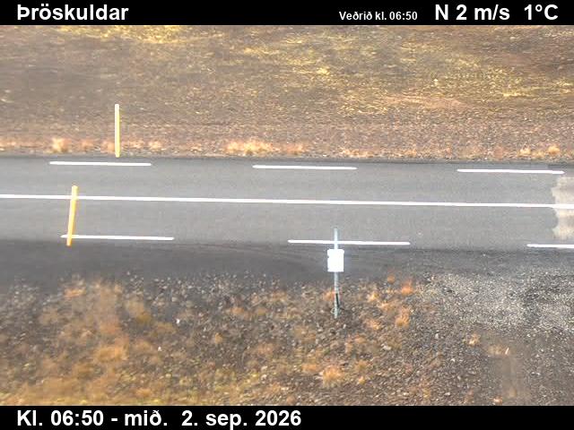 throskuldar_2-1788339735.jpg
